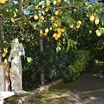 Casa Dei Limoni 아파트 *