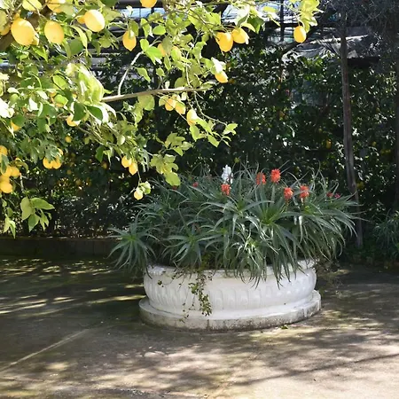 Casa Dei Limoni 마사루브렌세