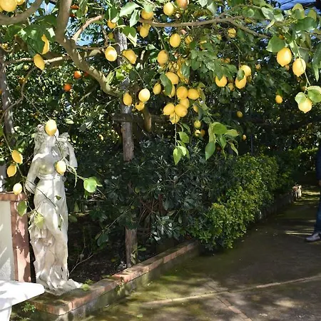 Casa Dei Limoni Appartamento *